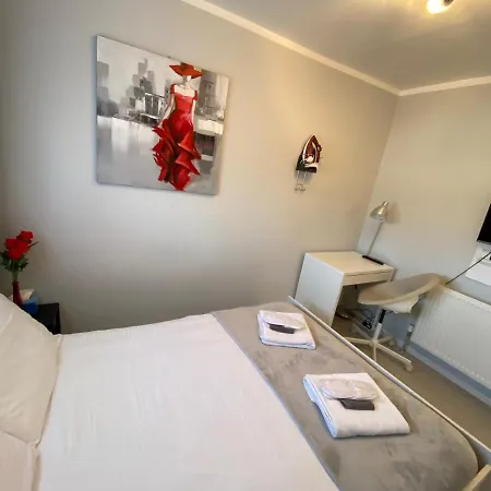 Comfortable Rooms In The House-2